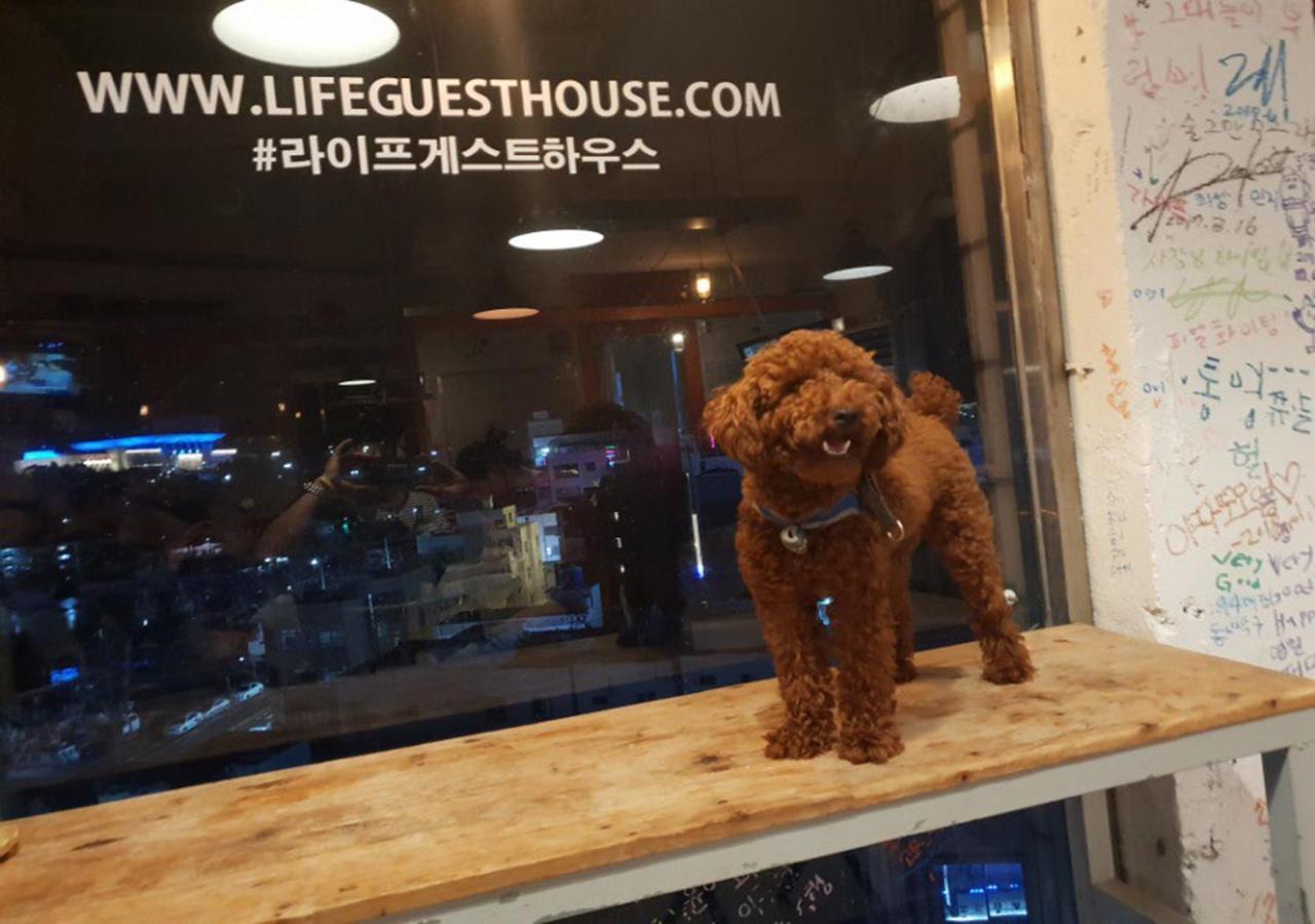 Lifeguesthouse Tongyeong Esterno foto